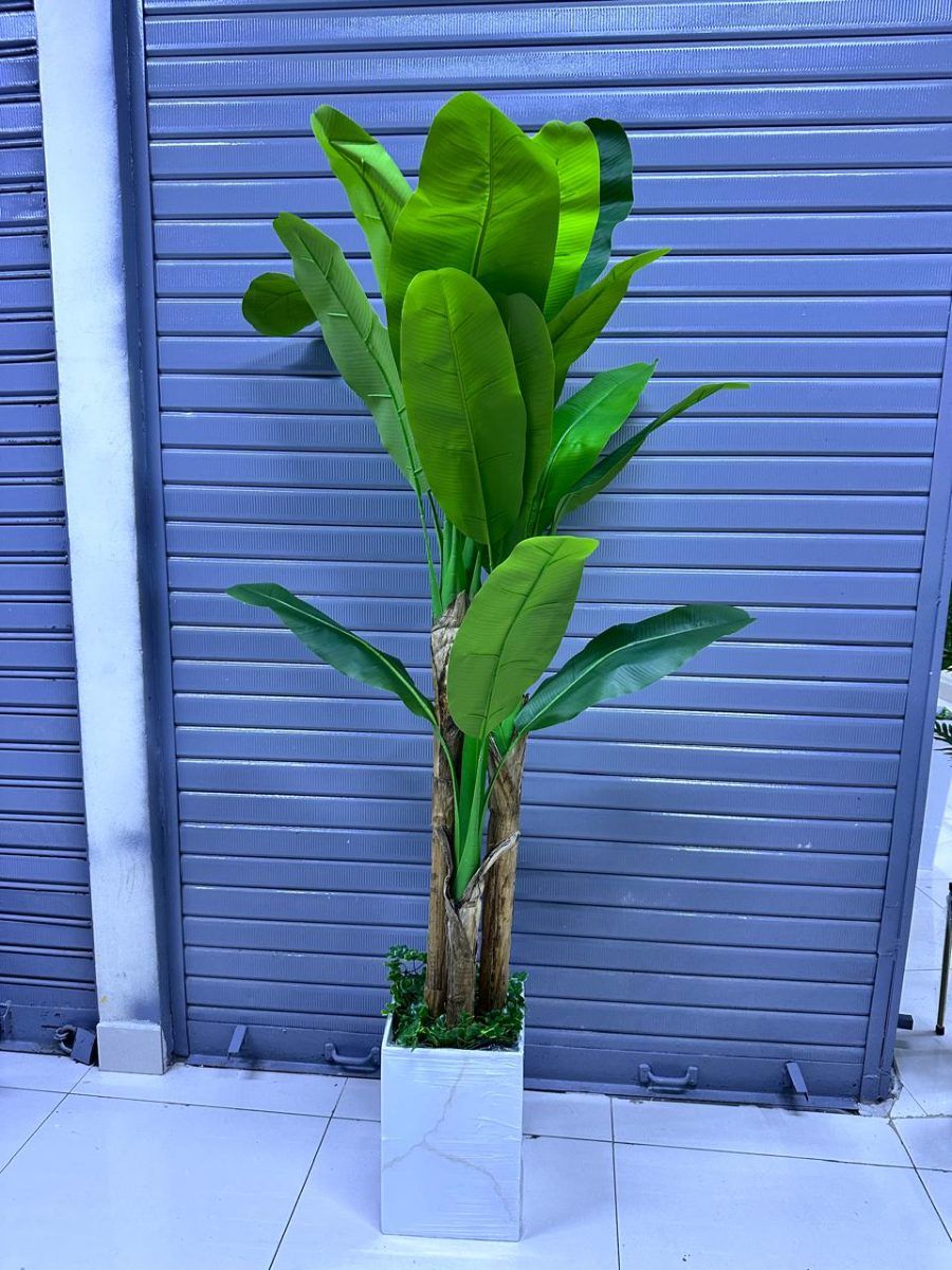 Planta de Plátano Artificial con Tres Tallos y Base de Trupán