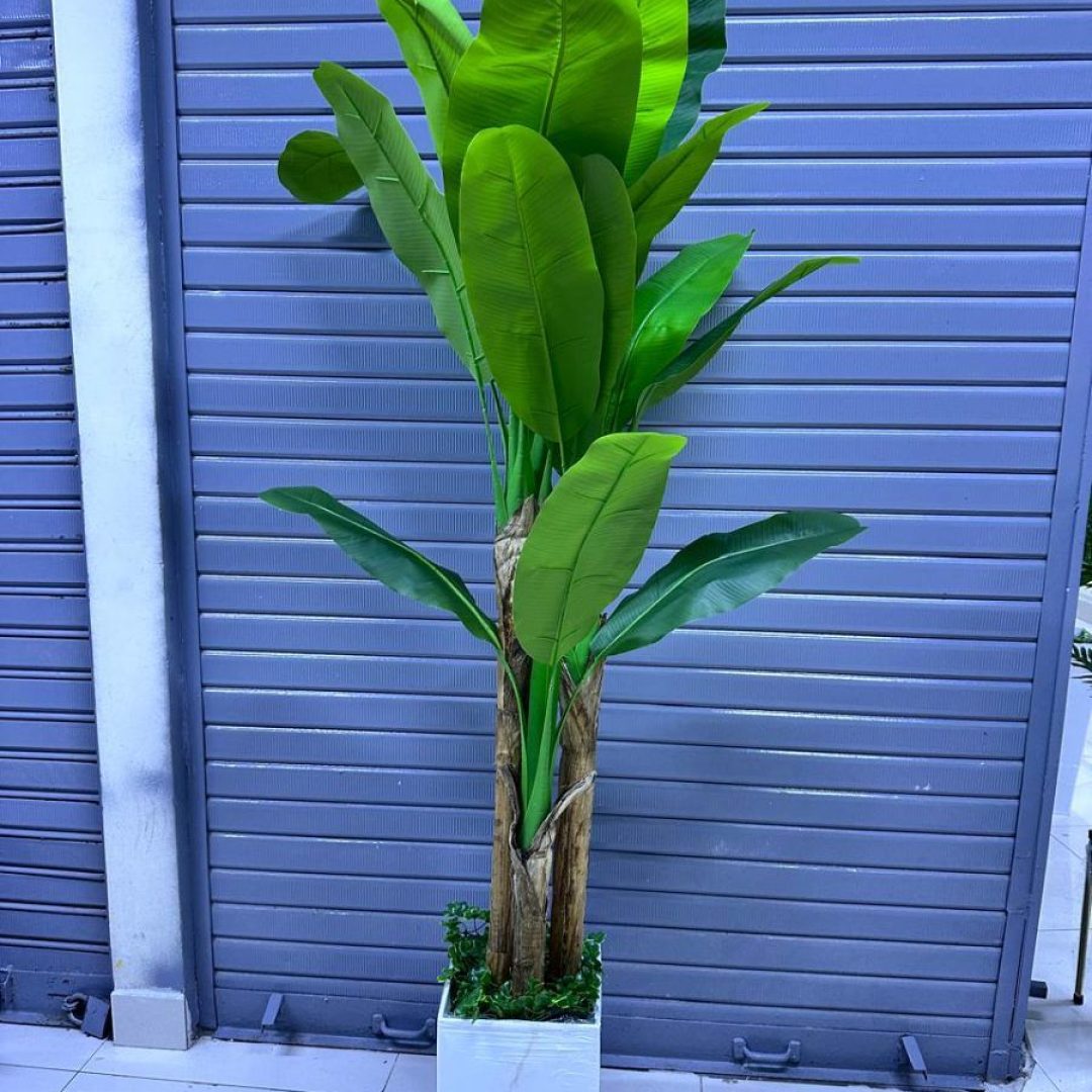 Planta de Plátano Artificial con Tres Tallos y Base de Trupán