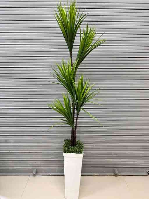 Planta de Yuca Artificial de 5 Cabezas/Verde con Base de Trupán — Plantas Artificiales