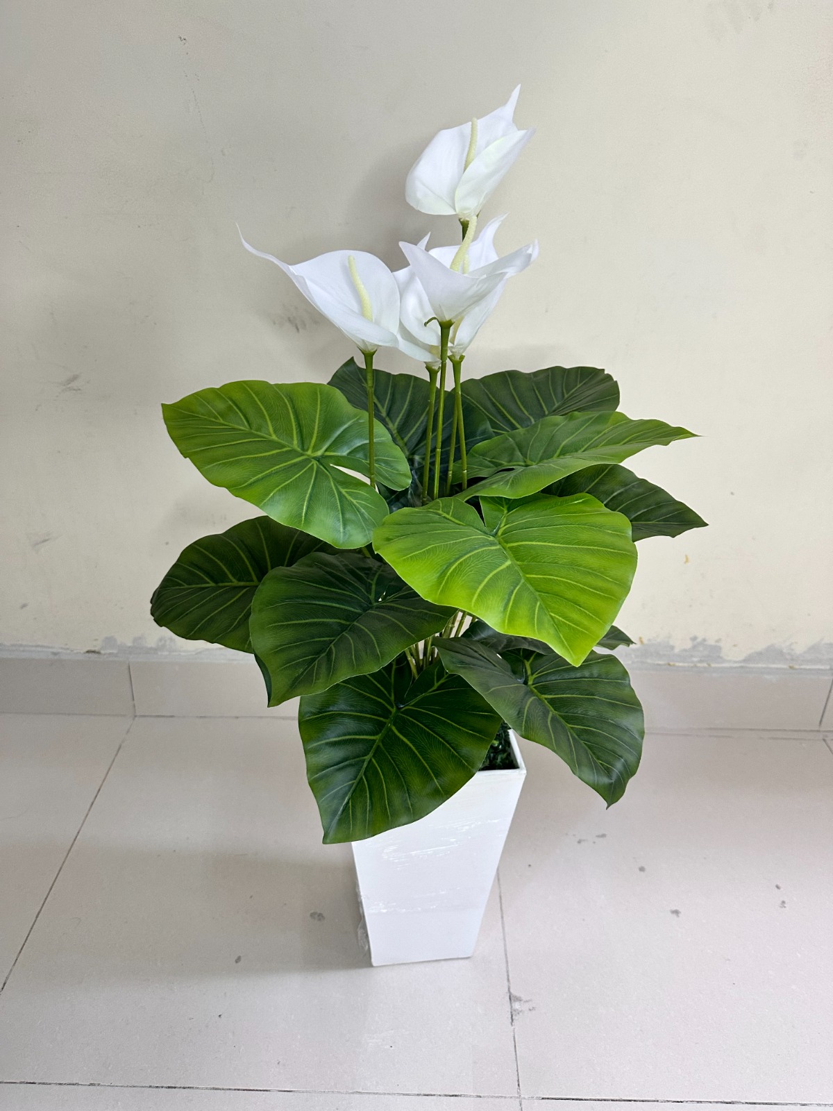 Planta de Cala BLANCO + Maceta de trupan | 90cm