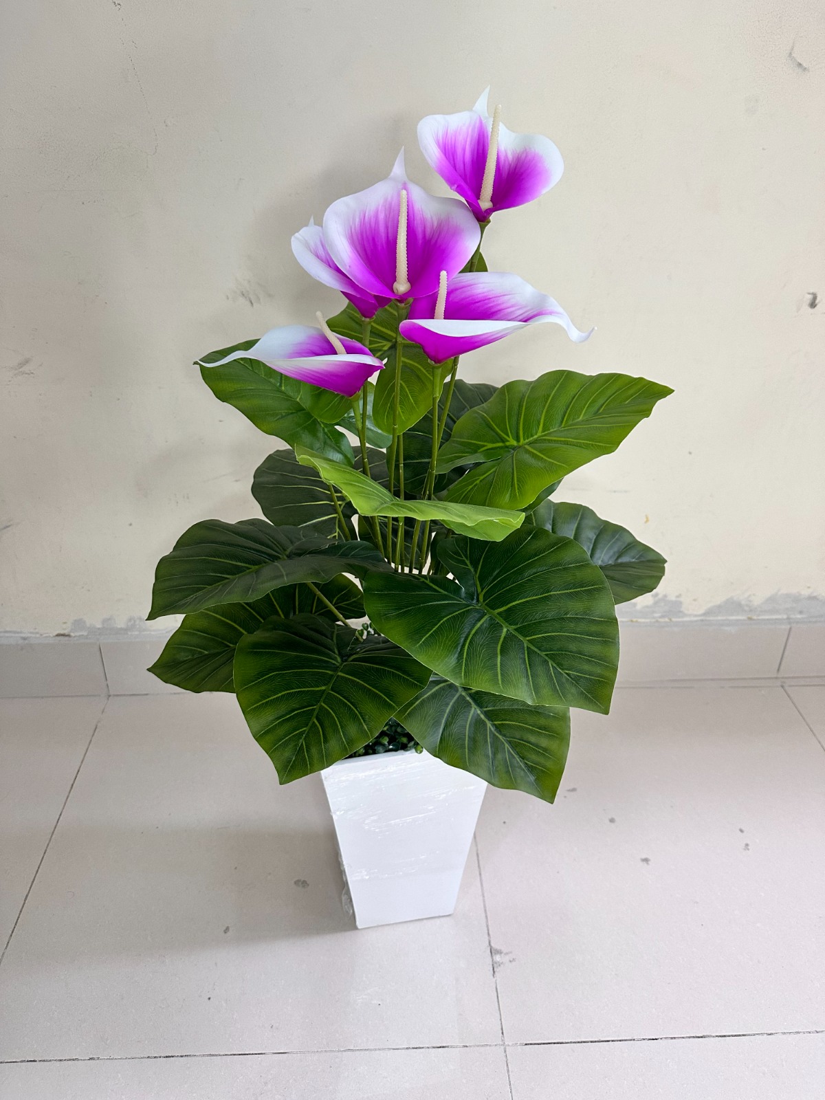 Planta de Cala LILA / BLANCO + Maceta de trupan | 90cm