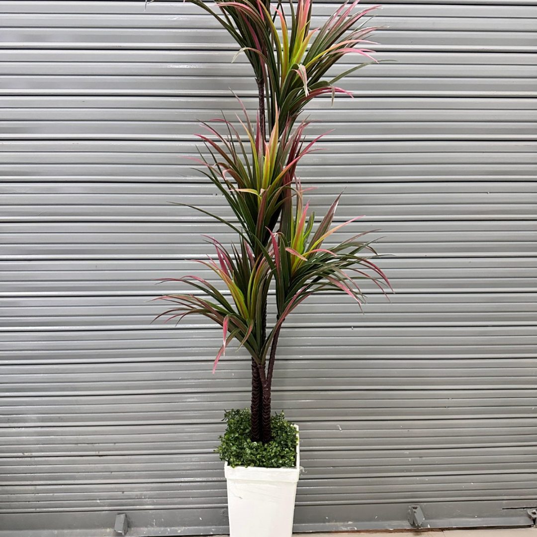 Planta de Yuca Artificial de 5 Cabezas/ROJO con Base de Trupán
