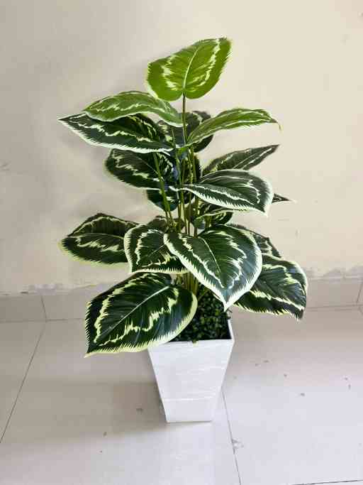 Planta Artificial | Pecho de Paloma | x18 Hojas | Base de Trupán — Plantas Artificiales