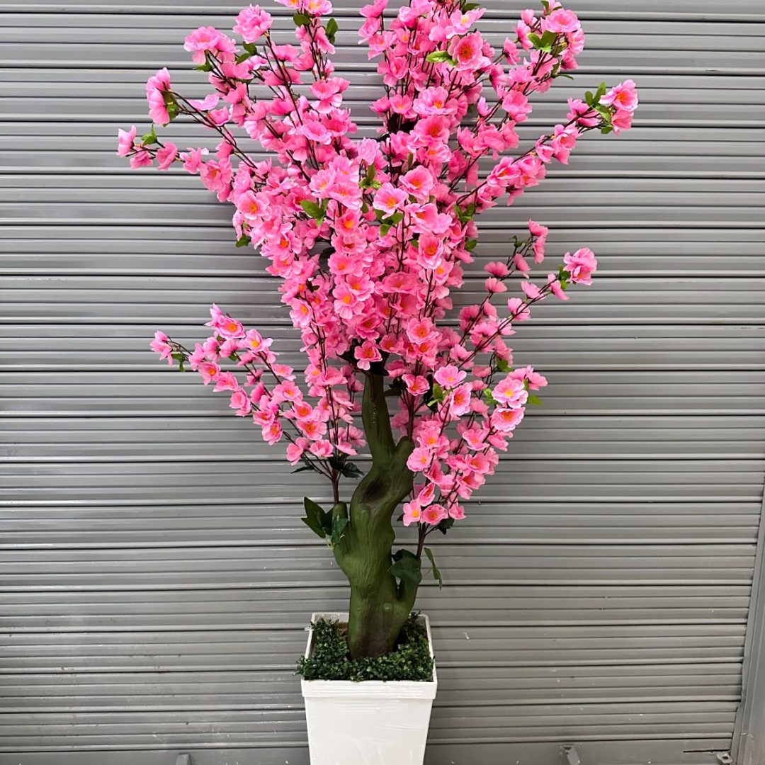 Árbol de Cerezo  ROSADO + Maceta de Trupán | 200cm