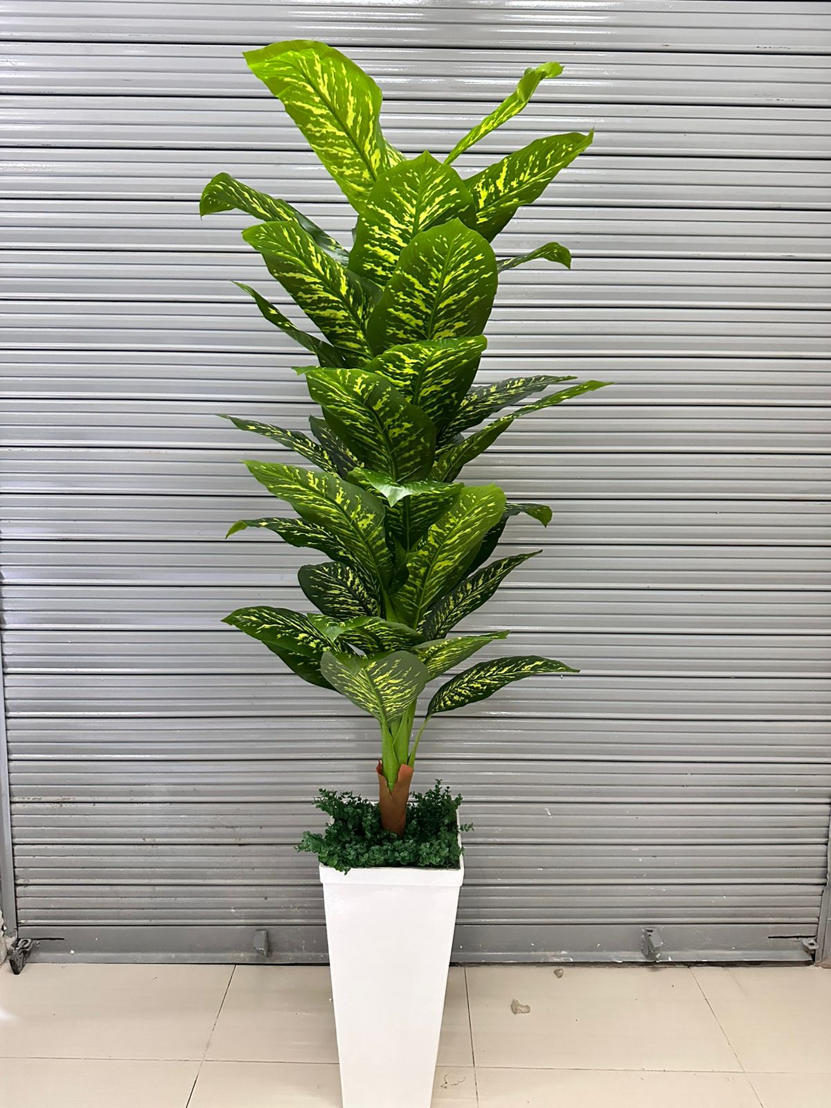 Planta de Lluvia de Plata Artificial de 200cm con Maceta de Trupán