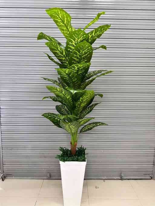 Planta de Lluvia de Plata Artificial de 200cm con Maceta de Trupán — Plantas Artificiales