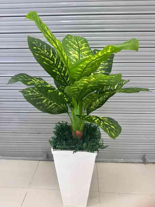 Planta de Lluvia de Plata Artificial de 140cm con Maceta de Trupán — Plantas Artificiales