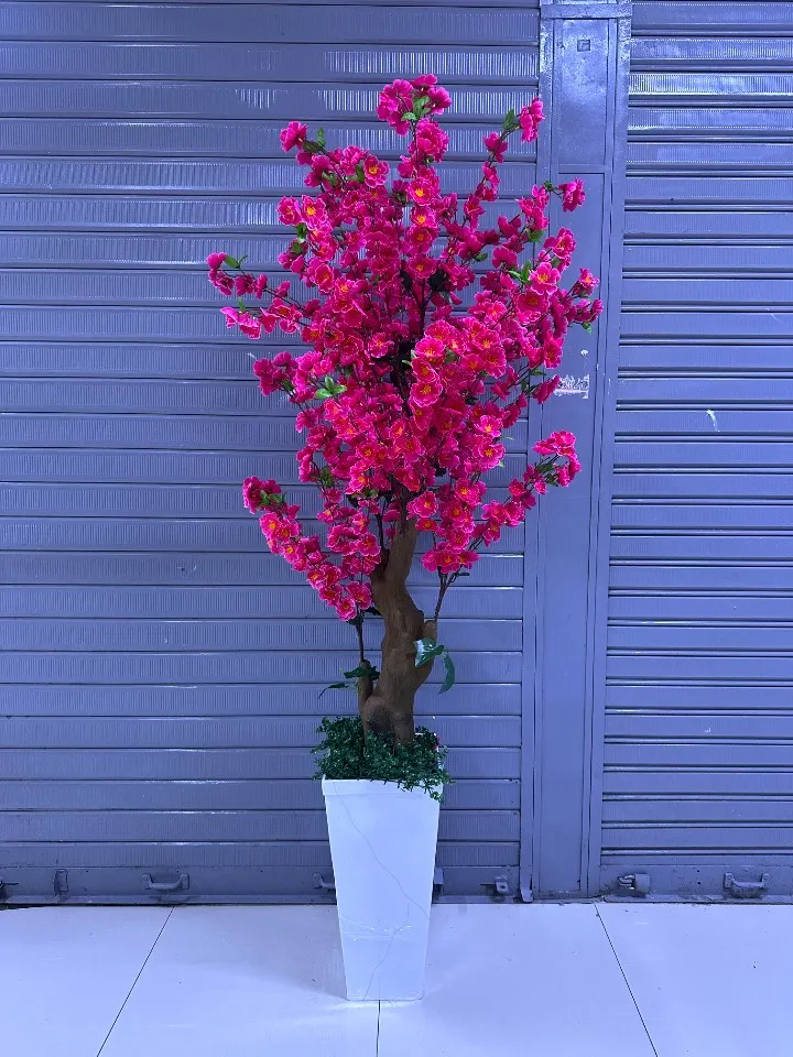 Árbol de Cerezo FUCSIA + Maceta de Trupán | 200cm