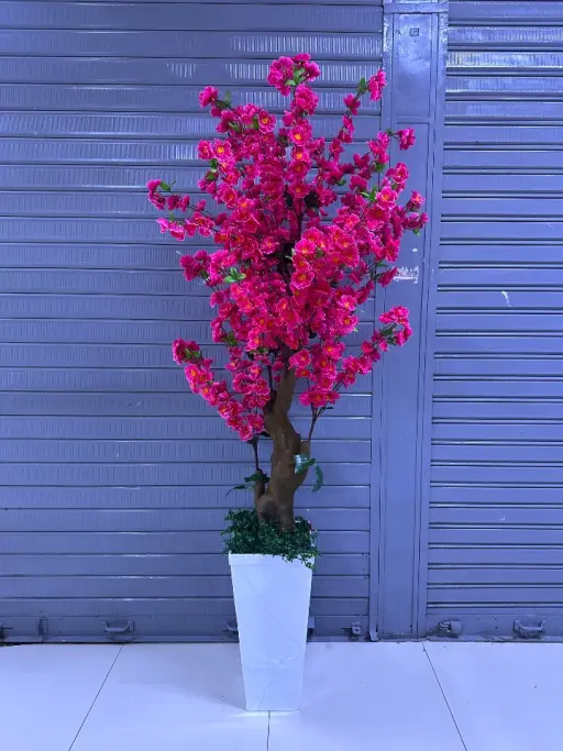Árbol de Cerezo FUCSIA + Maceta de Trupán | 200cm — 