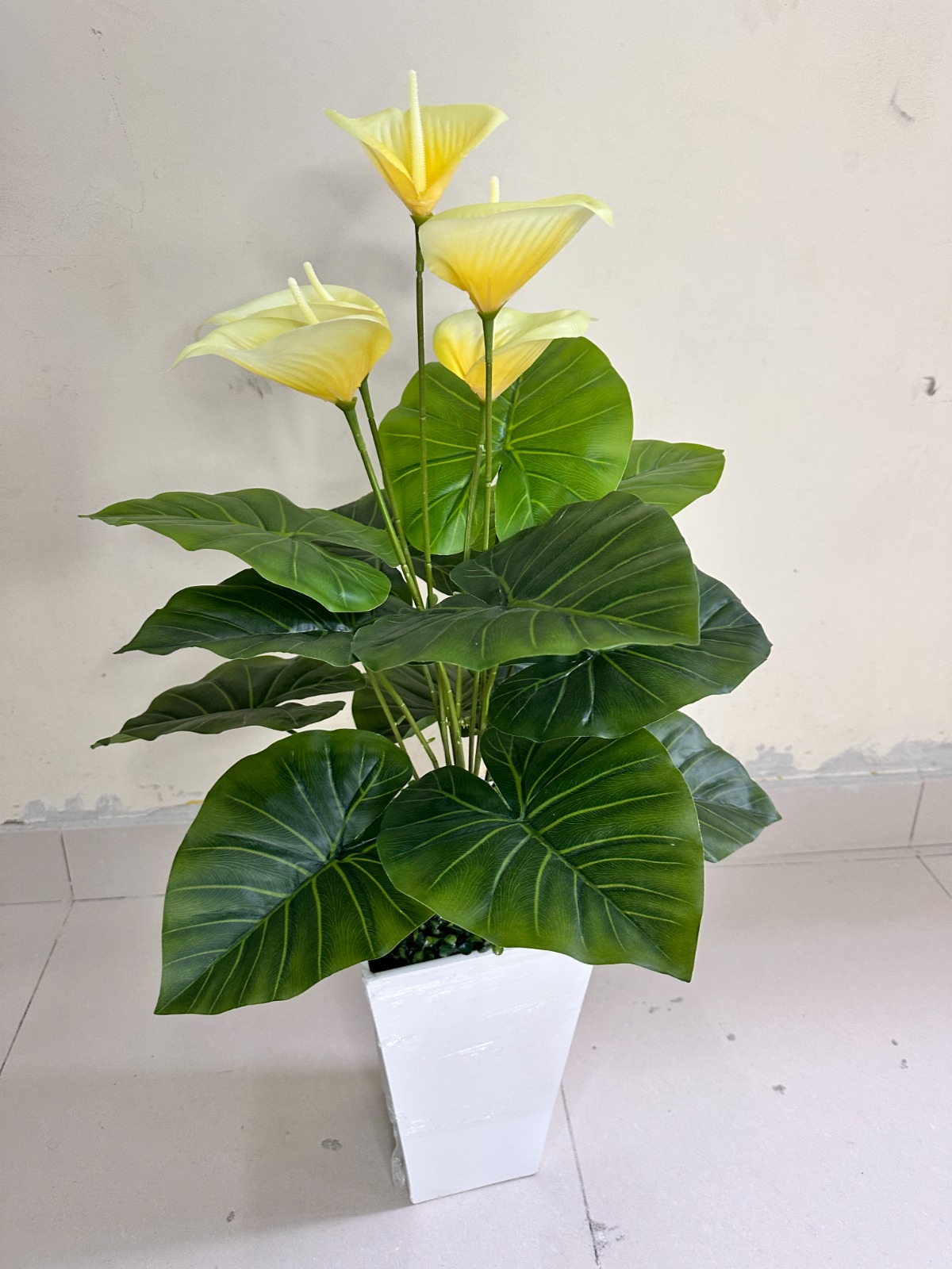 Planta de Cala AMARILLO + Maceta de trupan | 90cm