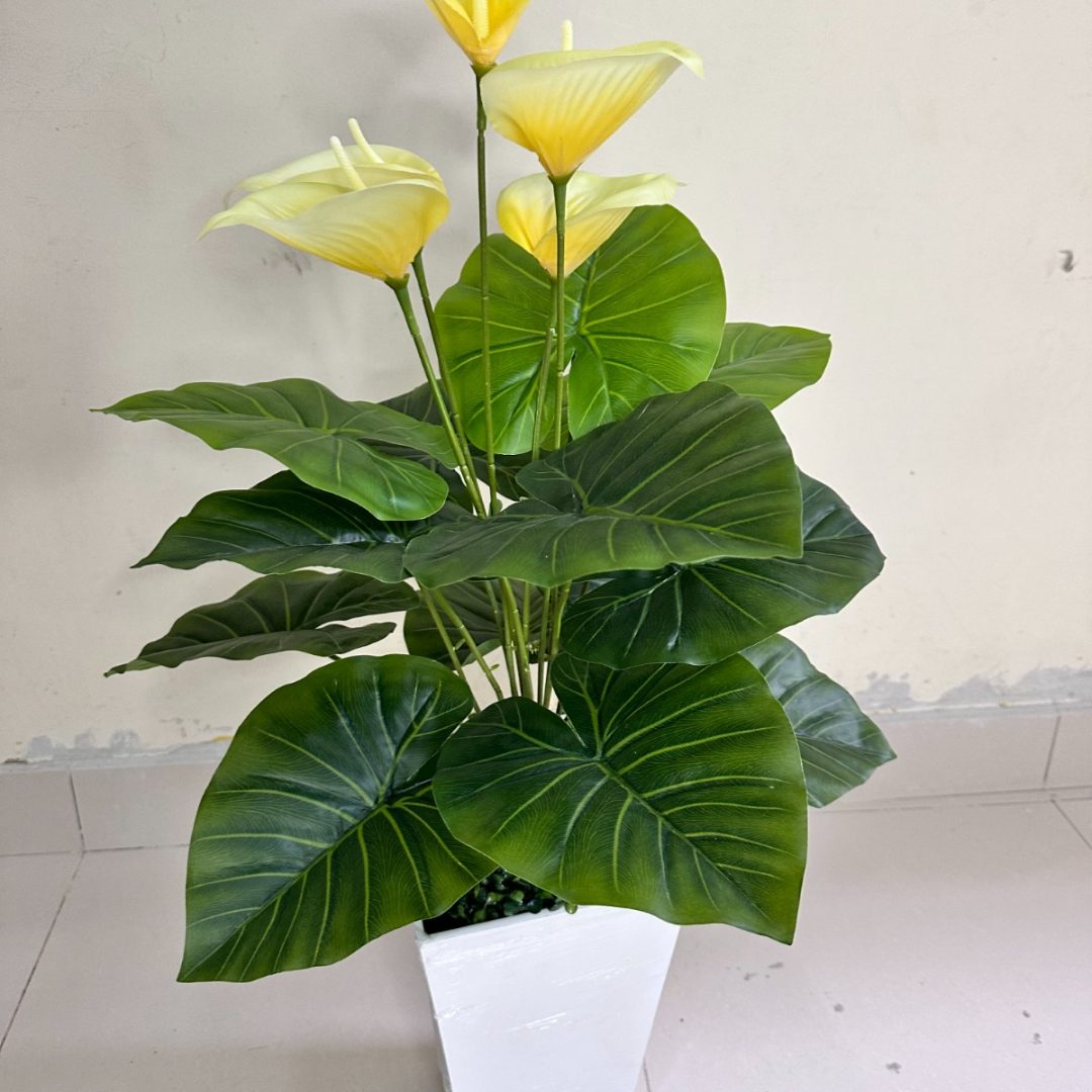Planta de Cala  AMARILLO + Maceta de trupan | 90cm