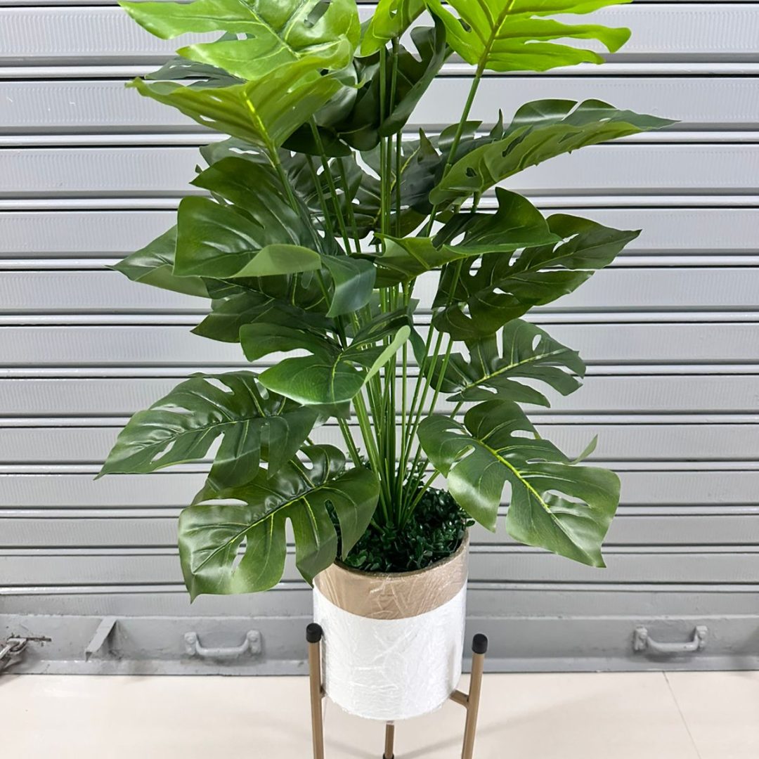 Planta Artificial | COSTILLA DE ADAN | x24 Hojas | Base y Soporte de Metal