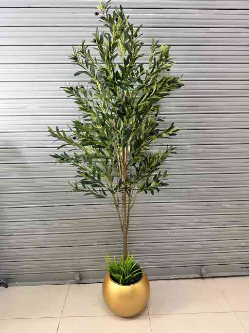 Planta de Olivo Artificial – 185 cm con Base Dorada pvc — Plantas Artificiales