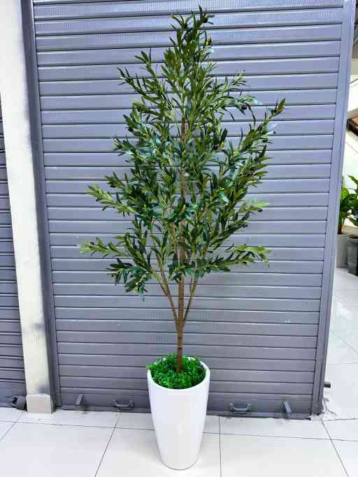 Planta de olivo + Maceta fibra de vidrio | 200cm — Plantas Artificiales