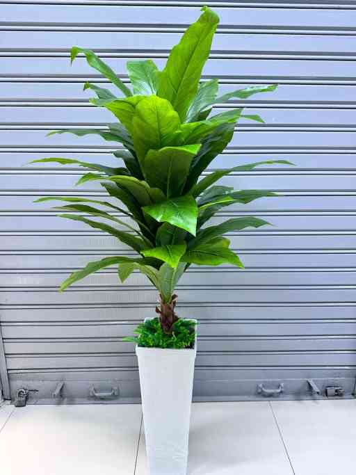 Planta Nido de Ave + Maceta de trupan | 145cm — Plantas Artificiales