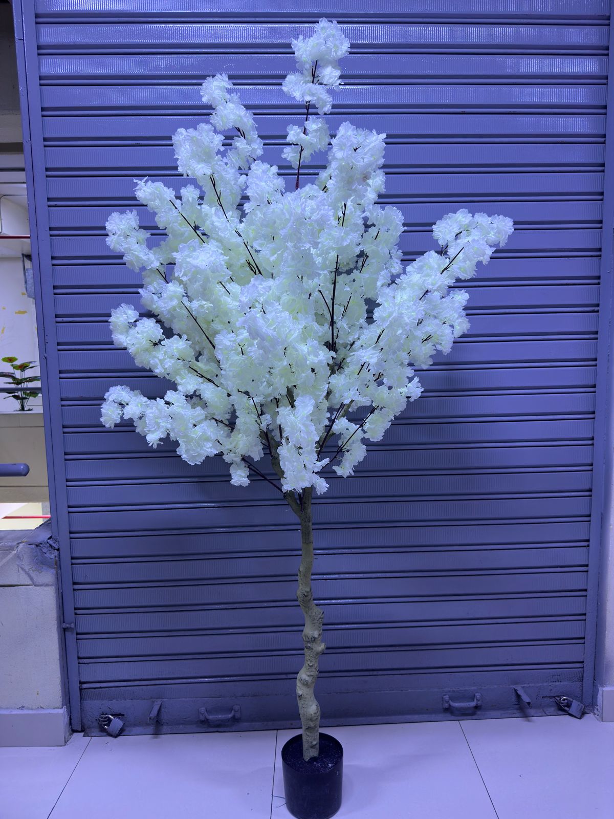 Arbol Sakura | Blanco | 200cm