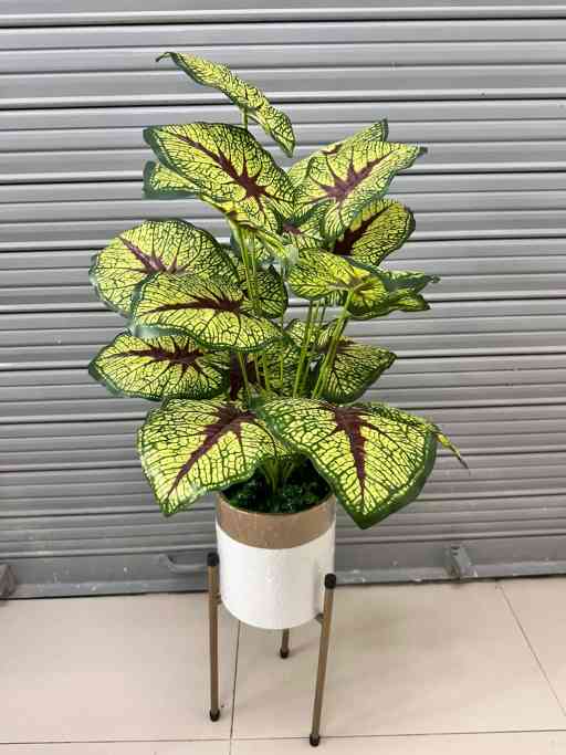 Planta Artificial | CORAZON DE JESUS | x18 Hojas | Base y Soporte de Metal — Plantas Artificiales