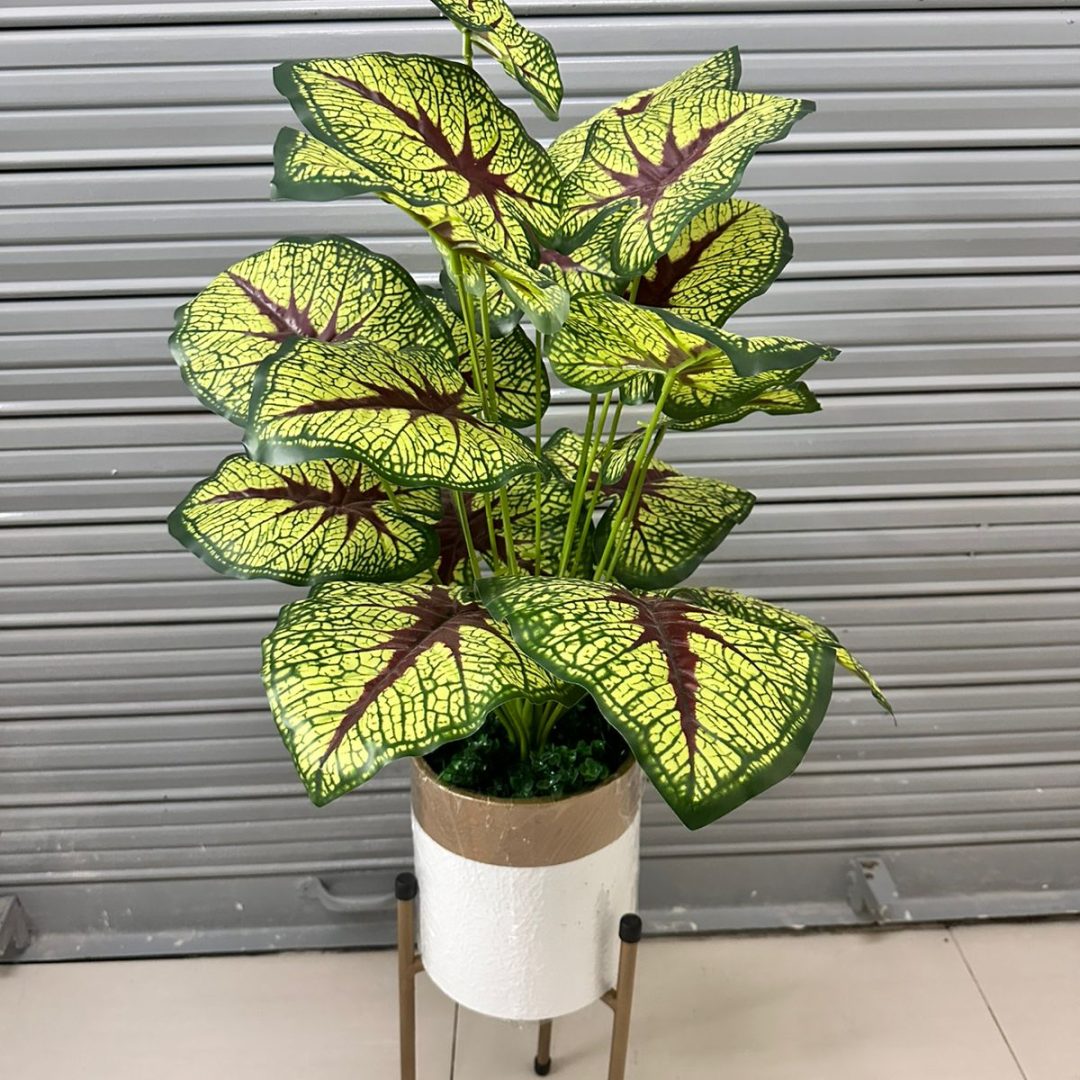 Planta Artificial | CORAZON DE JESUS | x18 Hojas | Base y Soporte de Metal