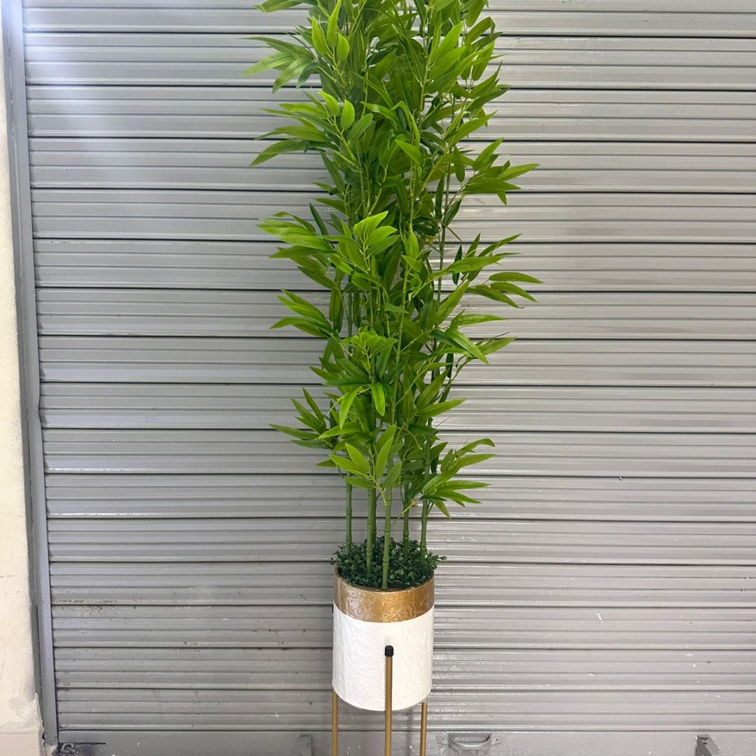 Bambu de 180cm con base de trupan y soporte de metal