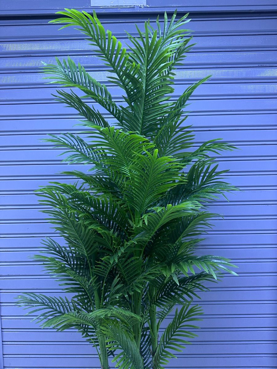 Planta Palmera x5 tallos + Maceta de PVC | 220cm — Plantas Artificiales