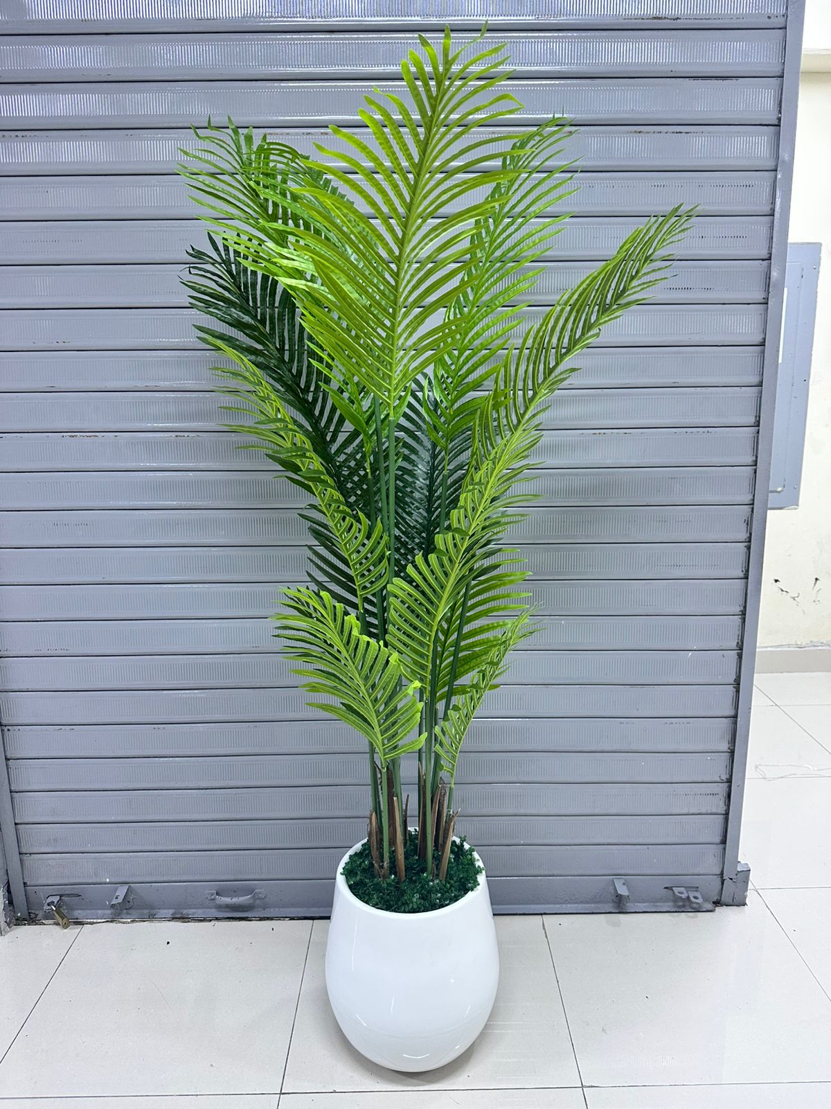 Palmera Areca + base de fibra de vidrio