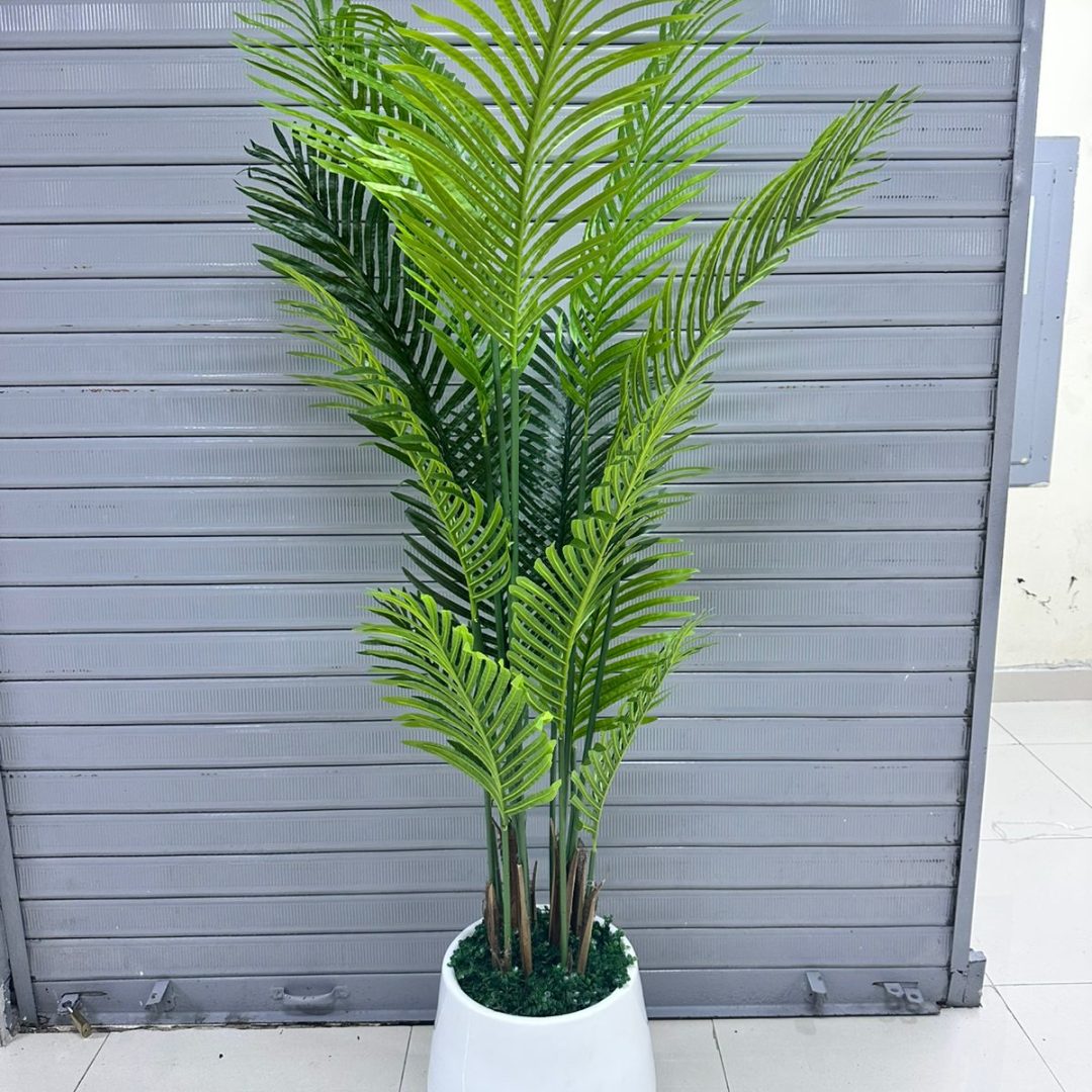 Palmera Areca + base de fibra de vidrio