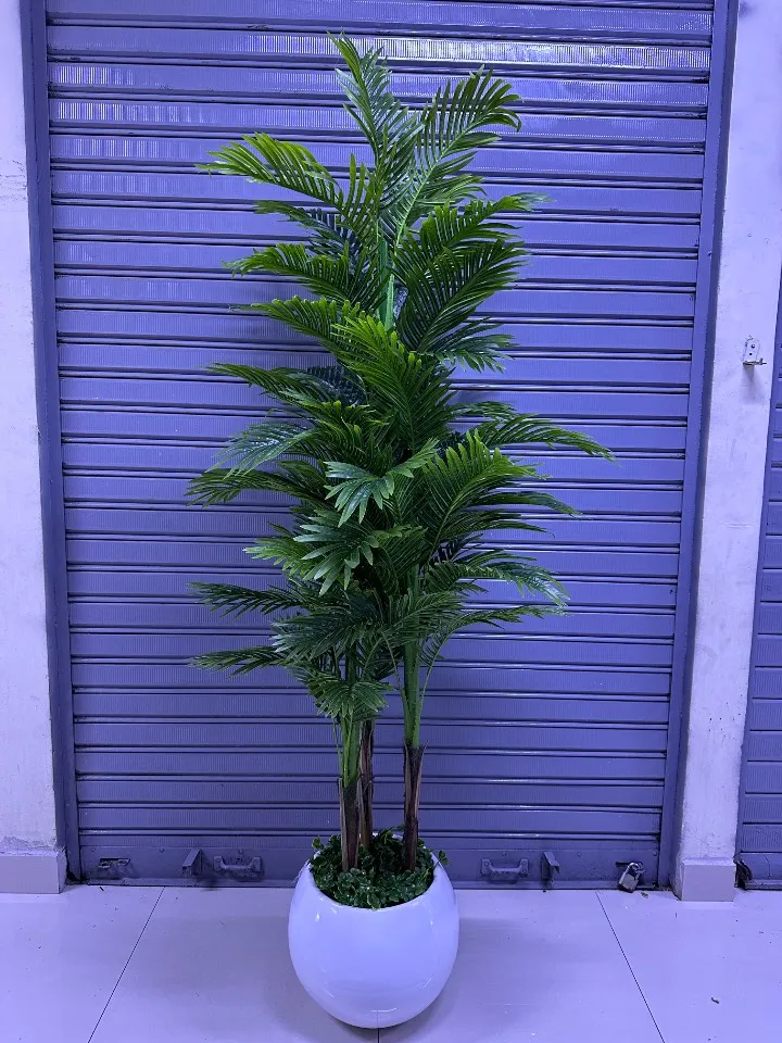 Palmera x3 tallos + Maceta fibra de vidrio | 200cm