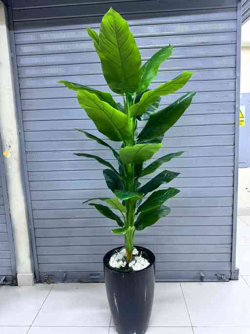 Planta Achira | base de fibra de vidrio | 200cm — Plantas Artificiales