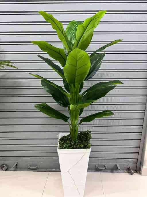 Planta de achira de 160cm — Plantas Artificiales