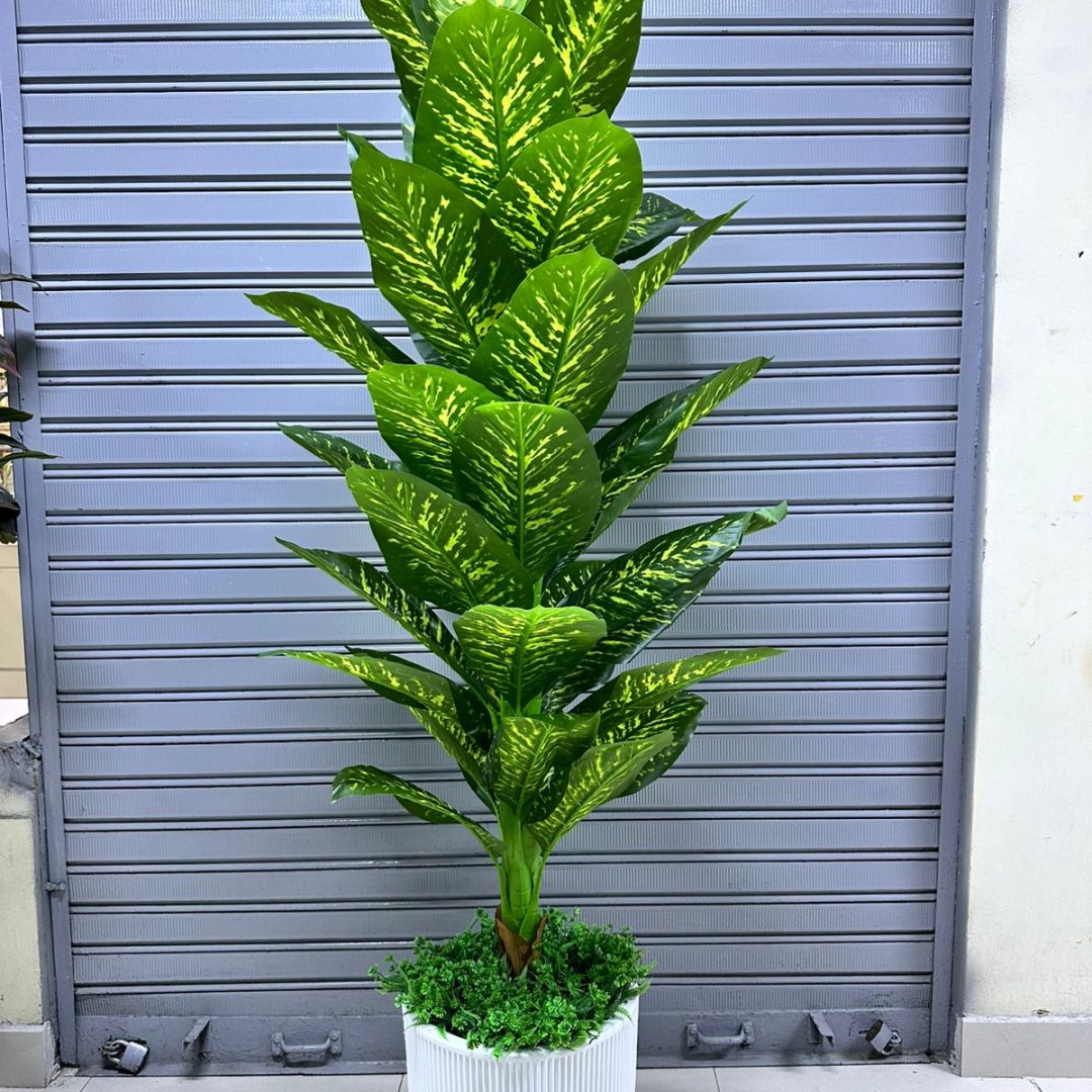 Planta Lluvia de Planta | maceta TEXTURIZADO de fibra de vidrio | 200cm