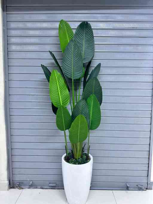 Planta Viajera + Maceta fibra de vidrio | 220cm — Plantas Artificiales