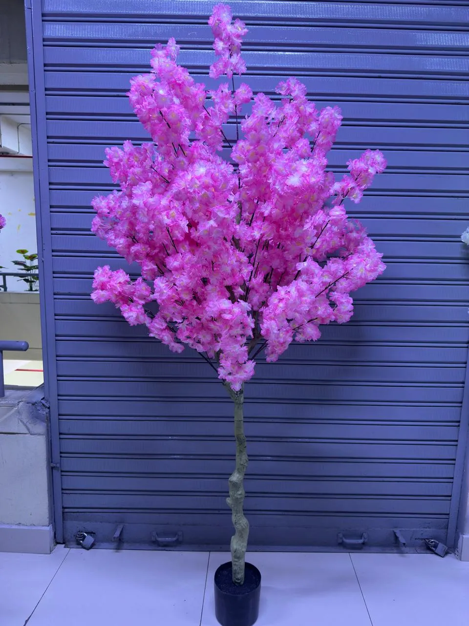 Árbol Sakura | Rosado | 200cm - Rosa / 200cm