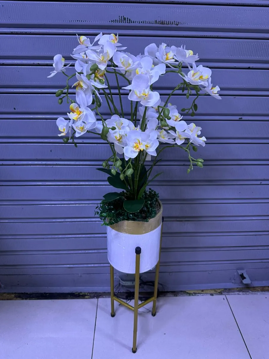 ARREGLO DE ORQUÍDEAS + soporte doble | 100cm - Blanco
