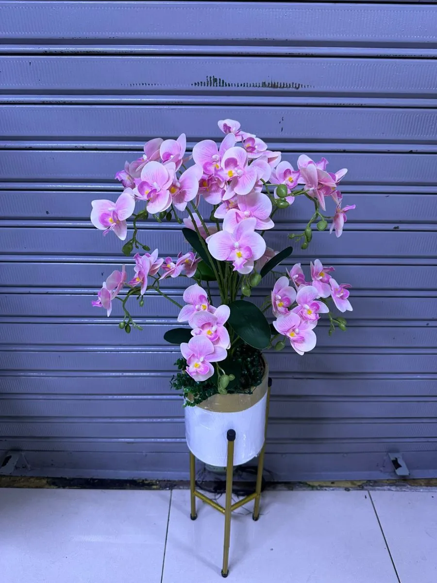ARREGLO DE ORQUÍDEAS + soporte doble | 100cm - Rosa