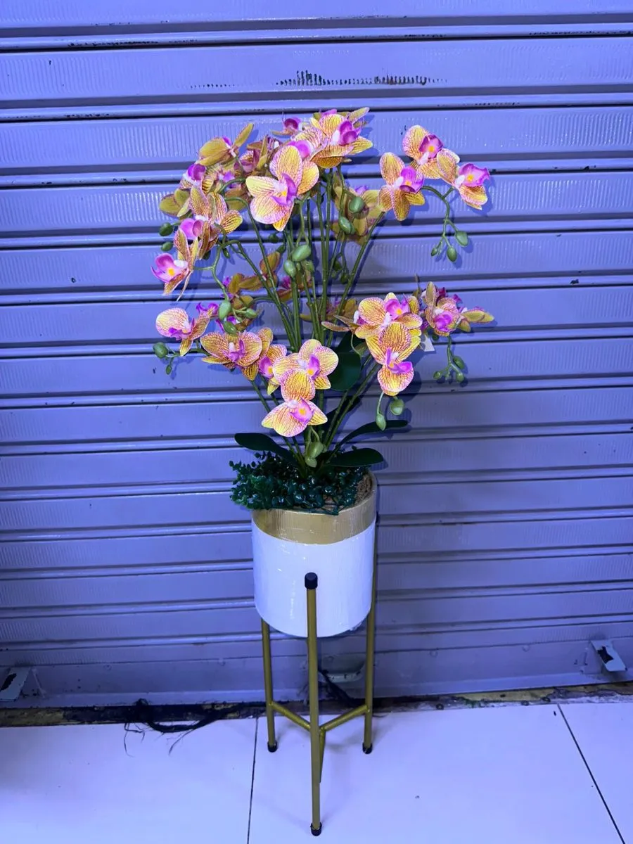 ARREGLO DE ORQUÍDEAS + soporte doble | 100cm - Naranja
