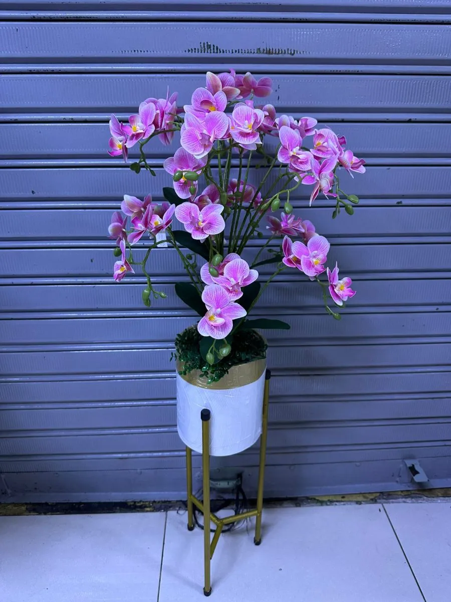 ARREGLO DE ORQUÍDEAS + soporte doble | 100cm - Beige
