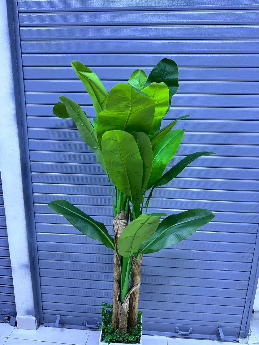 Planta de Plátano Artificial con Tres Tallos y Base de Trupán